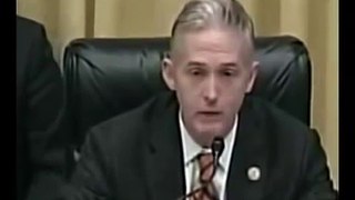 Trey Gowdy Owns Race Baiting Liberals on Voting ID Laws