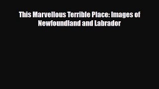 Download This Marvellous Terrible Place: Images of Newfoundland and Labrador Ebook