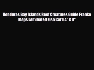 Descargar video: Download Honduras Bay Islands Reef Creatures Guide Franko Maps Laminated Fish Card 4 x 6 Ebook