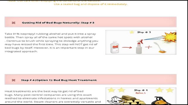 How to Detect and Identify a Bed Bug Infestation