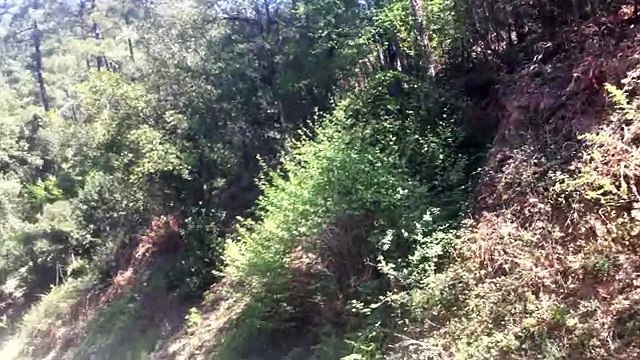 course de cote col saint pierre formule 1 (HD)