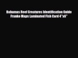 Download Bahamas Reef Creatures Identification Guide Franko Maps Laminated Fish Card 4x6 Read