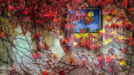 The BEATLES – All you need is love 2016