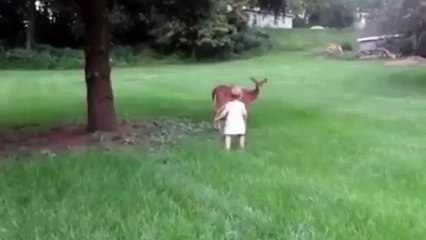 A baby human pets a baby deer (fawn) BEAUTIFUL!!