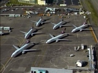 THY uçağı kuş sürüsüne girdi