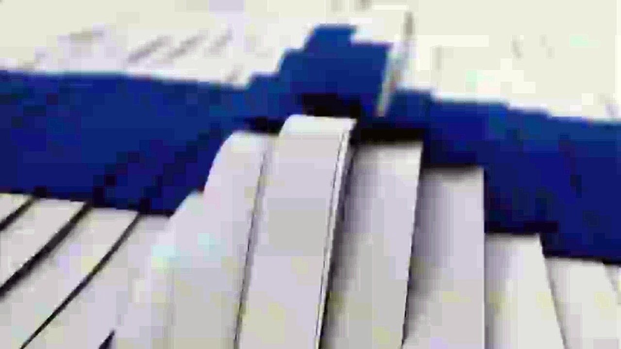 P Y P 110
