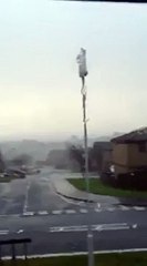 TRAMPOLINE TRAMPOLINE (CRAZY WINDS)