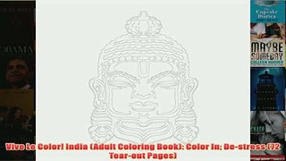 Download PDF  Vive Le Color India Adult Coloring Book Color In Destress 72 Tearout Pages FULL FREE