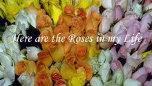 My flowers