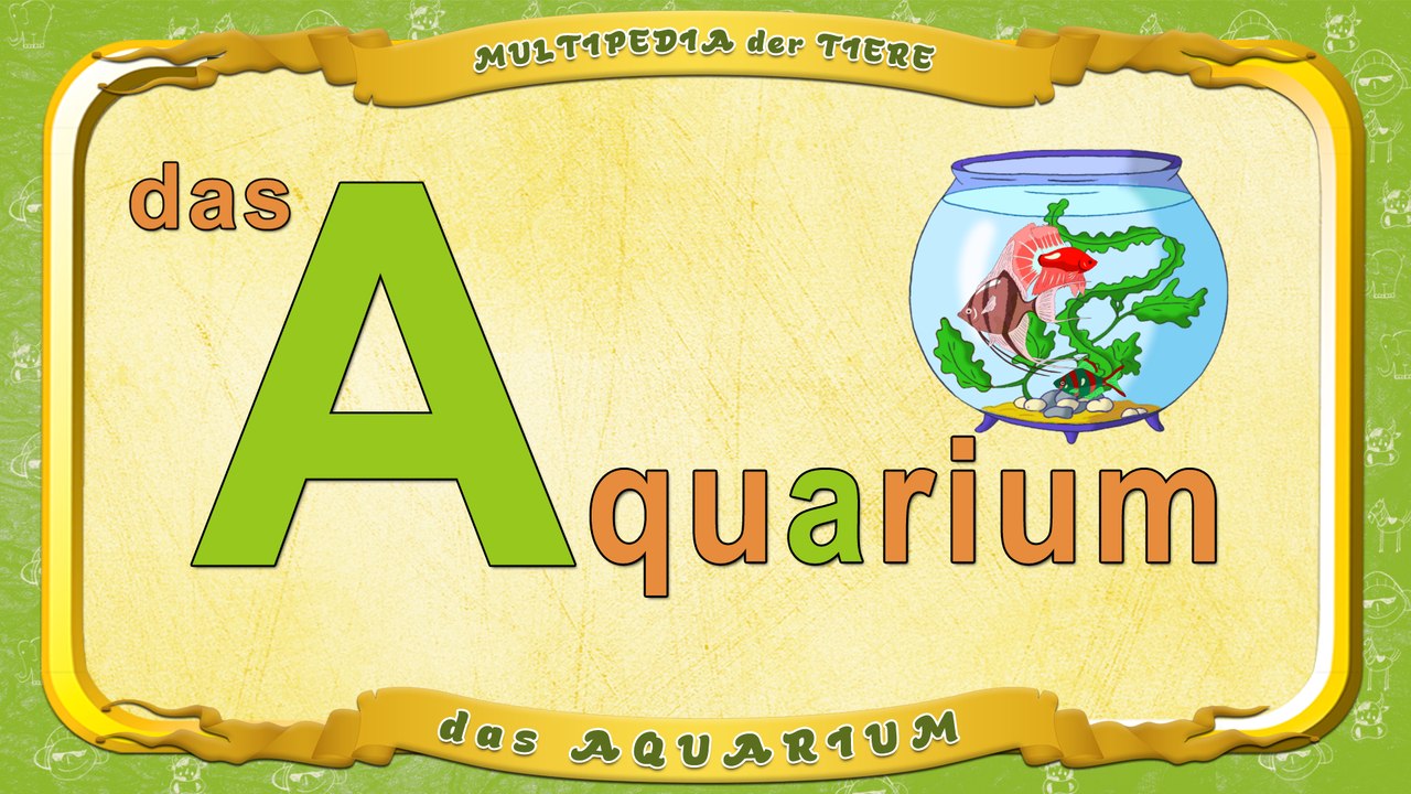 Multipedia der Tiere. Buchstabe A - das Aquarium