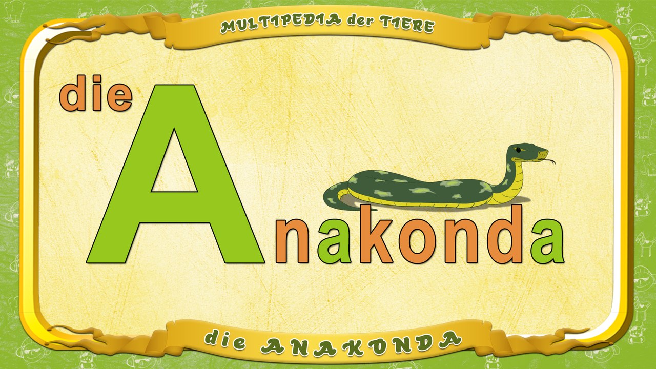 Multipedia der Tiere. Buchstabe A - die Anakonda