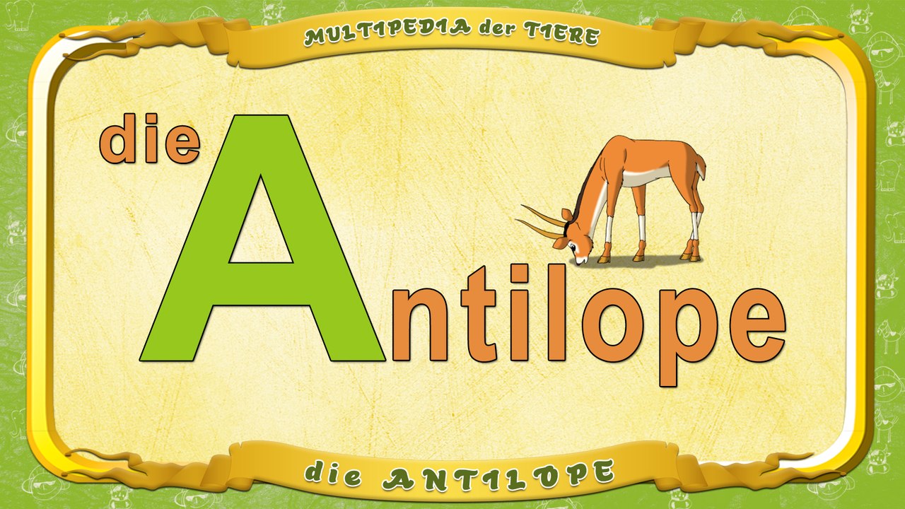 Multipedia der Tiere. Buchstabe A - die Antilope