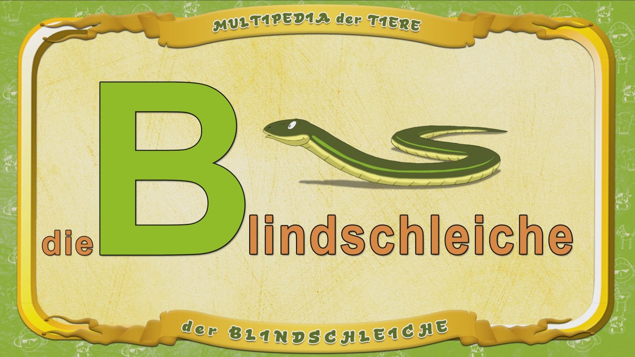 Multipedia der Tiere. Buchstabe B - der Blindschleiche