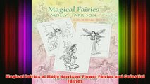 Download PDF  Magical Fairies of Molly Harrison Flower Fairies and Celestial Fairies FULL FREE