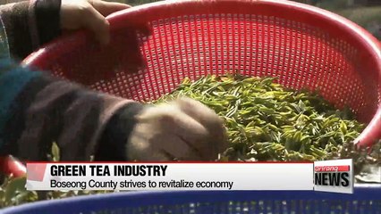 Green Tea makes various transformations