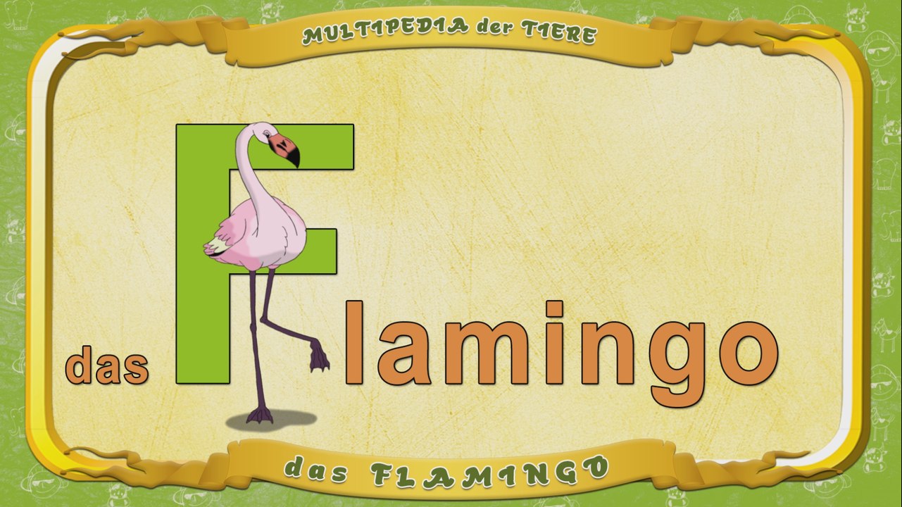 Multipedia der Tiere. Buchstabe F - das Flamingo