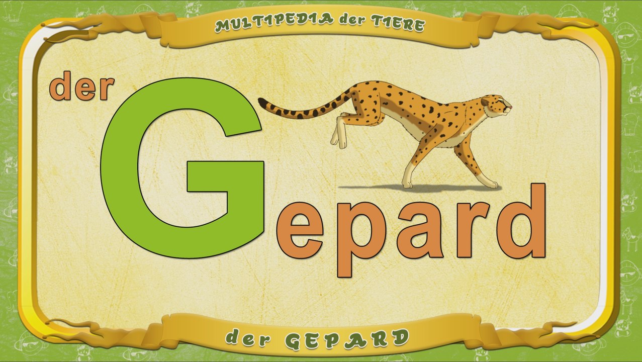Multipedia der Tiere. Buchstabe G - der Gepard