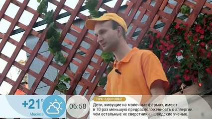 пожарить на костре сосиски