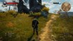 BEANNSHIE Steel Sword Location [Level 9] The Witcher 3