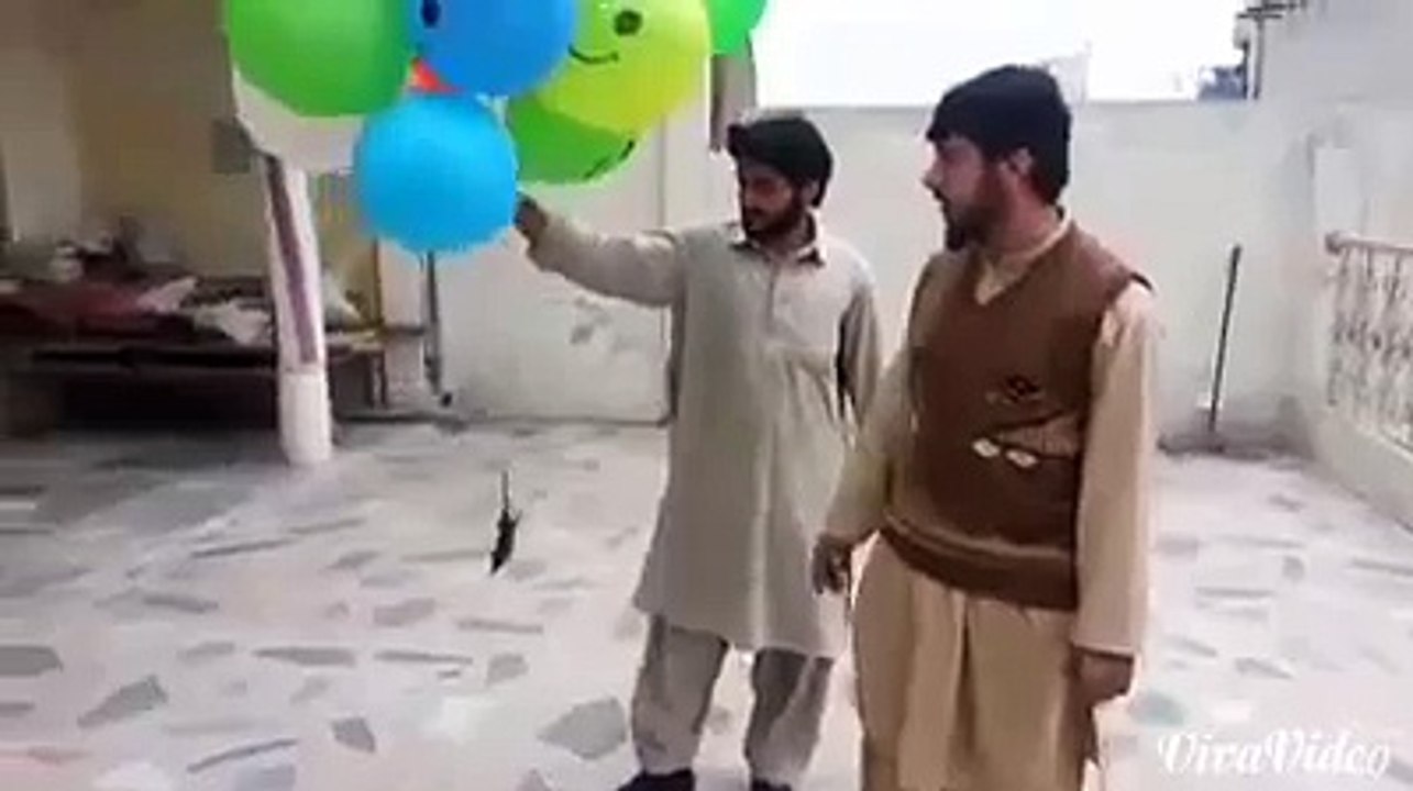 mouse fly in sky (Funny Videos 720p)