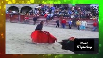 bull fighting so funny videos - bullfighting accidents