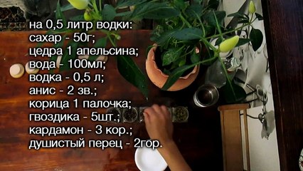 Бехеровка #Рецепты SMARTKoK