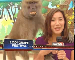 Best of Funny Video Clips ;-) Try not to Laugh !!! Funny Pranks Funny Fails Funny Jokes