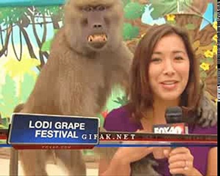 Best of Funny Video Clips ;-) Try not to Laugh !!! Funny Pranks Funny Fails Funny Jokes