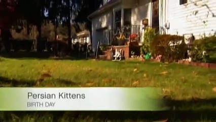 Too Cute!- Two Big Birth Days