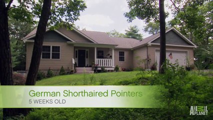 Wake Up, No Time for Naps  Too Cute!