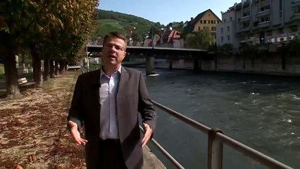 Ratgeber Rapid Contentn