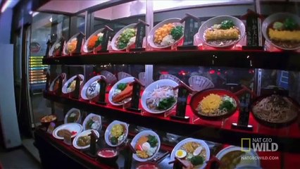 Иглобрюх, или рыба Фугу (лат. Tetraodon)