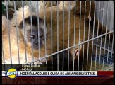 HOSPITAL ACOLHE E CUIDA DE ANIMAIS SILVESTRES