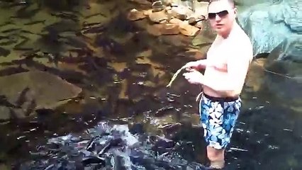 Как поймать рыбу без удочки