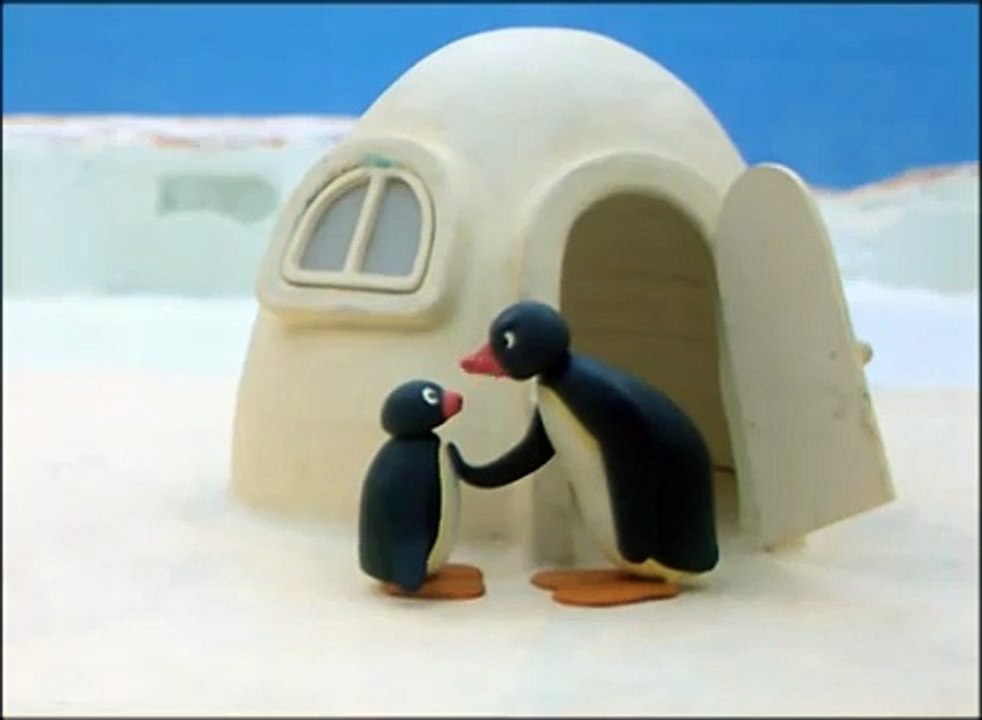 Pingu And His Friends Play Too Loudly Pingu Official Channel