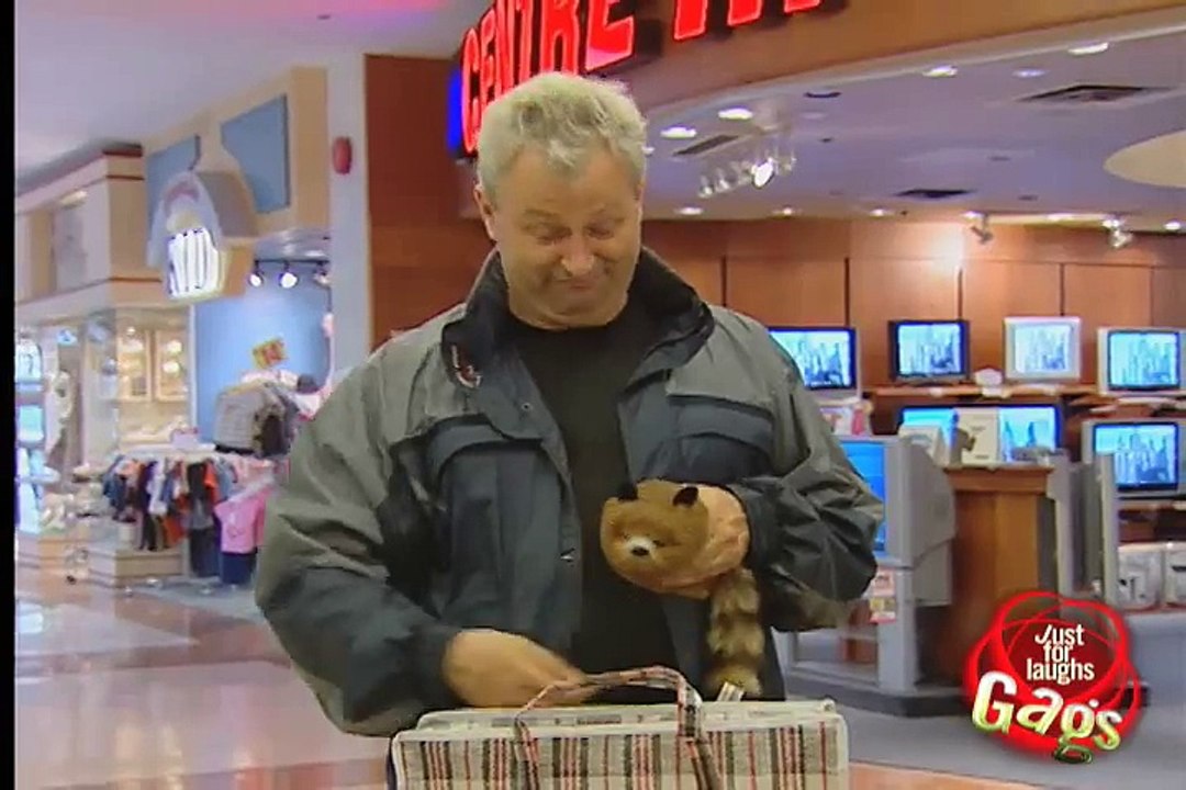 Crazy Ferret Prank