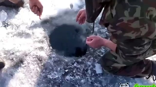 Рыбаки зимой поймали огромную рыбу зубами россия