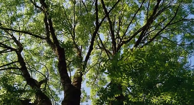 Сфера колдовства. Русский трейлер '2012'. HD