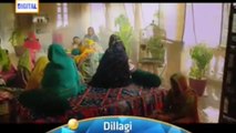 Dillagi new drama Ary Digital drama cast Humayun Saeed & Mehwish Hayat
