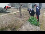 Barletta - Sequestrata discarica abusiva sotto orto botanico (05.03.16)