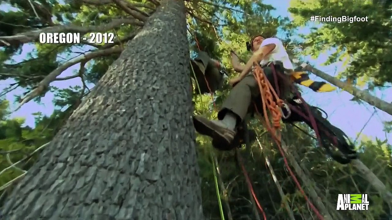 Finding Bigfoot S08E05 - Season 8 Episode 5 | Dronie Loves Squatchie - The.Aftershow