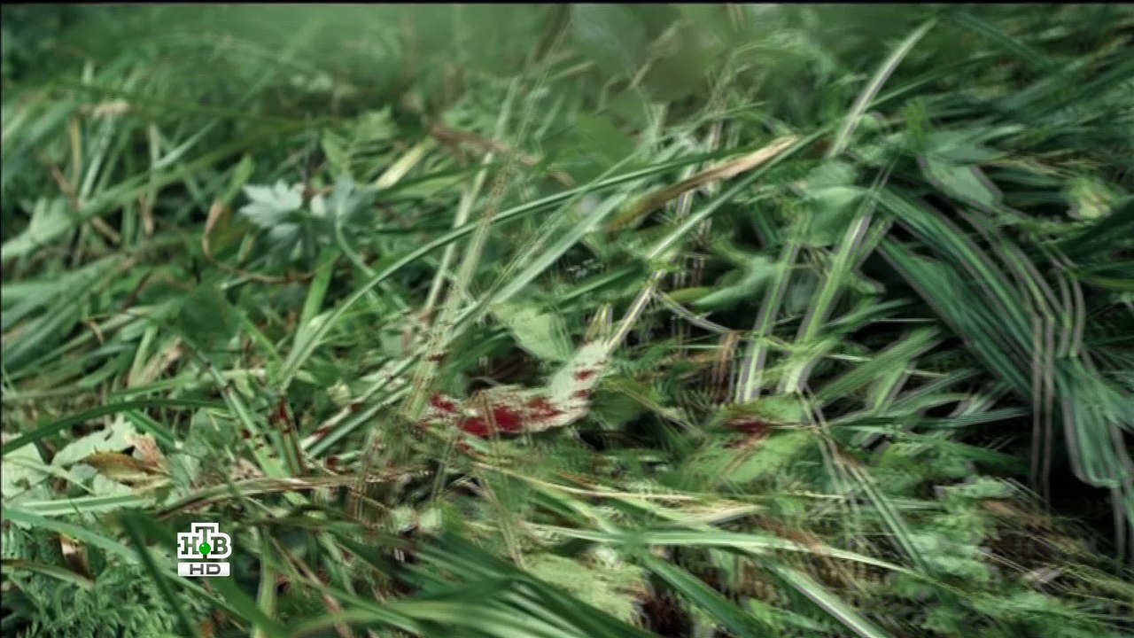 След тигра (драма, боевик, криминал)