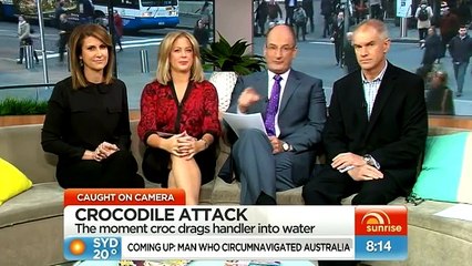 Crocodile attacks Shoalhaven Zoo Keeper