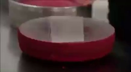 Amazing Video Highlights from 2016 🎥 - thumbnail