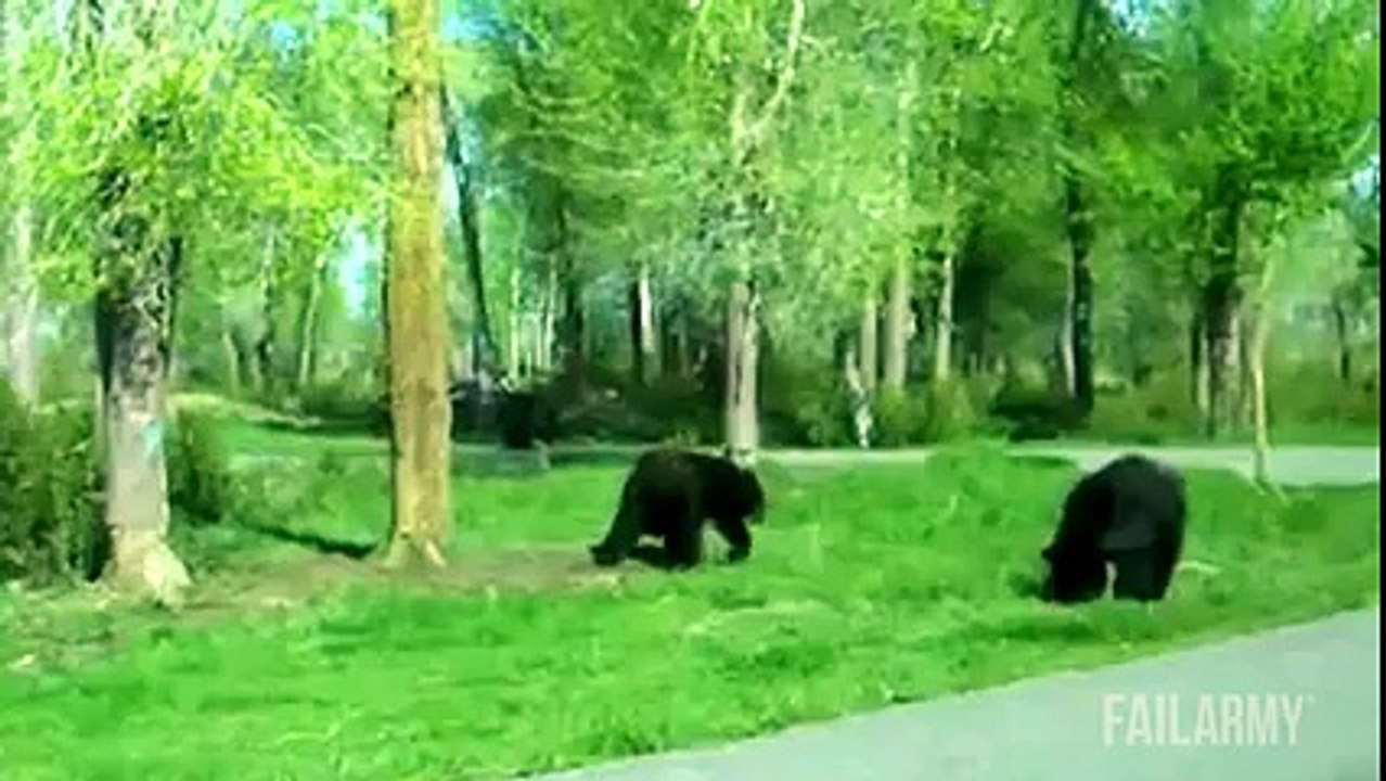 Funniest Animal Fails Compilation