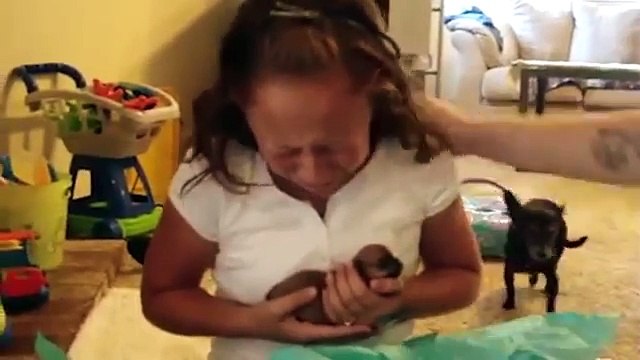 Лучший подарок - это собака