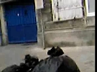 Adèle chante I will survive