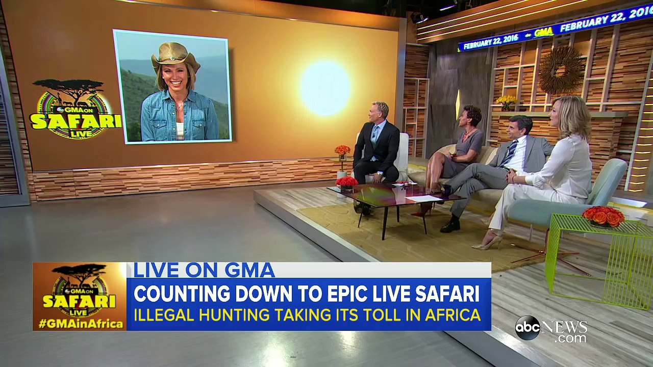 GMA on Safari Showcases Majestic Animals in Their Habitat