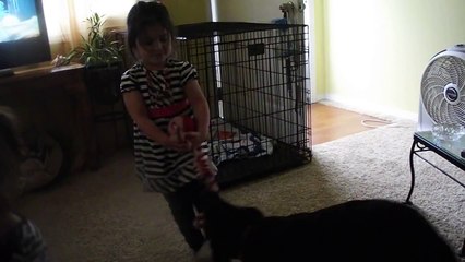 Ana playing tug of war with Chase