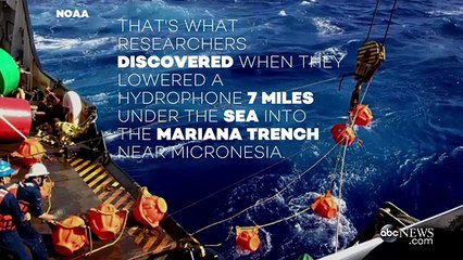 This Is What the Deepest Part of the Ocean Sounds Like